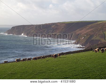 Cornwall-KÃ¼ste in der NÃ¤he von trewavas