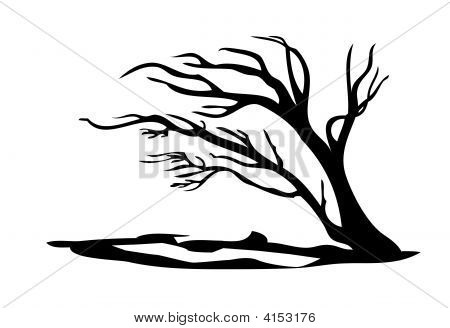 Albero