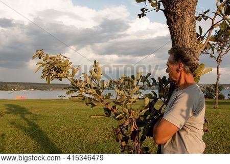 Senior Man At Parque Das Garças, In Brasilia, Leaning Against A Tree While Looking Over Lake Paranoa