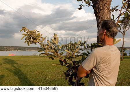 Senior Man At Parque Das Garças, In Brasilia, Leaning Against A Tree While Looking Over Lake Paranoa