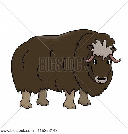 Brown Vector Outline Cartoon Hand Drawn Male Muskox. Doodle Isolated Illustration On White Backgroun