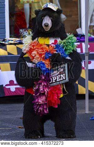 Ellicott City, Md, Usa 10/07/2020: A Big Black Bear Mascot Wearing A Colorful Stole Scarf And A Base