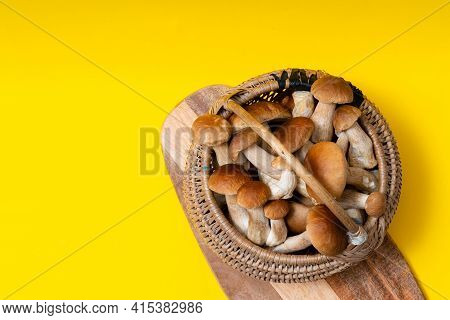 Full Wicker Basket Of Boletus Edulis Isolated On Yellow Background. Edible Mushroom Basket With Spac