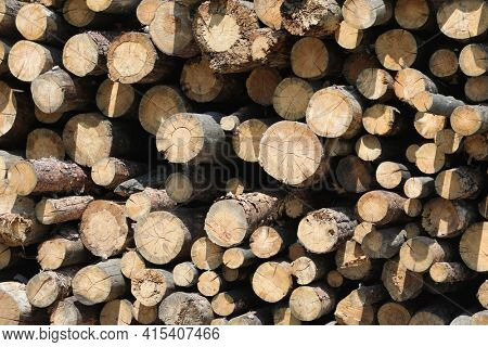 Pile of wooden logs stacked together. Wall of stacked wood logs as background. stack of logs. Stack of firewood close up. Logs cuts prepared for fireplace.
