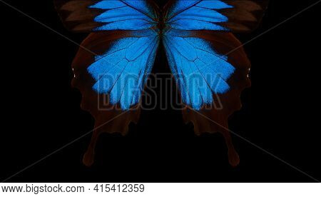 Blue Abstract Pattern. Wings Of The Butterfly Ulysses. Closeup. Wings Of A Butterfly Texture Backgro