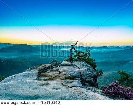 View Over A Broken Pine Tree To The Schand Valley Full Of Lazy Blue Fog. Autumn Landscape In Morning