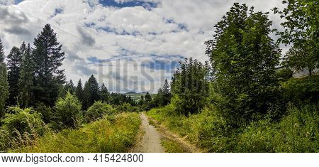 A Rural Road In The Carpathian