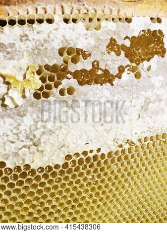 Honey Frame With Honey Sealed On Top.