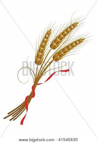 Snop pszenicy związany z taśmy