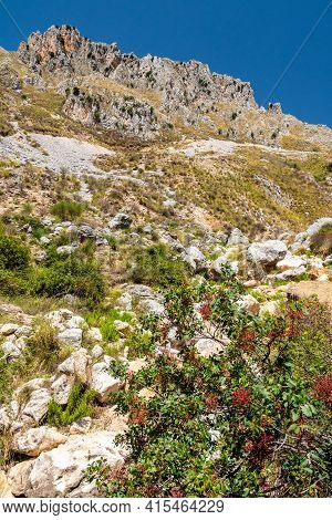 View Of Rocca Del Crasto Near Alcara Li Fusi Town In The Nebrodi Park, Sicily
