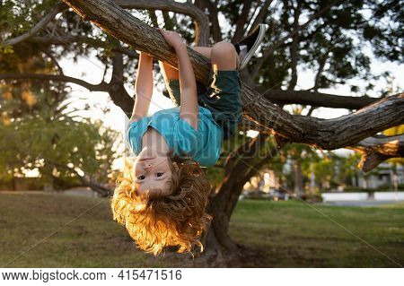 Funny Boy In A Tree. Cute Blond Child Climb A Tree. Child Hanging Upside Down On Tree
