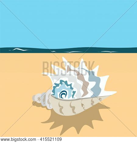 Exotic Seashells
Marine Background With Sea Shells
Sea And Ocean Life