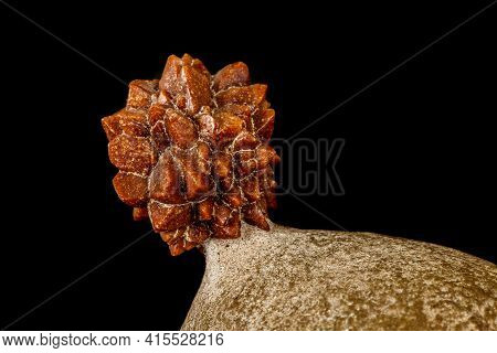 Macro Stone Ikaite Mineral In Rock On A Black Background