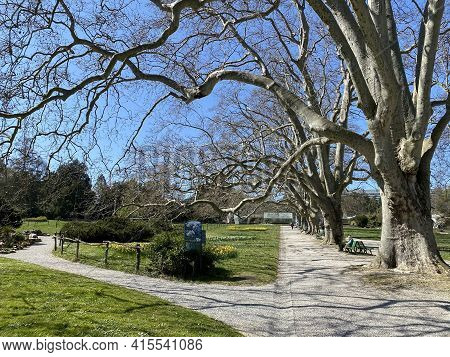 Conservatory And Botanical Garden Of The City Of Geneva (conservatoire Et Jardin Botaniques De La Vi