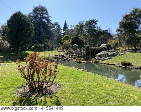 Conservatory And Botanical Garden Of The City Of Geneva (conservatoire Et Jardin Botaniques De La Vi