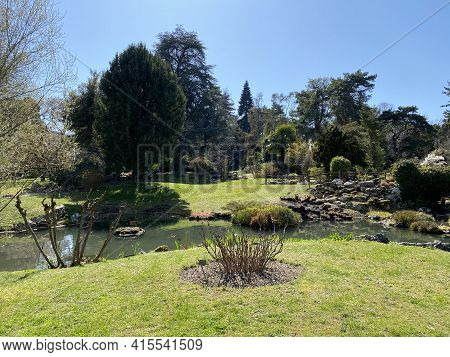 Conservatory And Botanical Garden Of The City Of Geneva (conservatoire Et Jardin Botaniques De La Vi