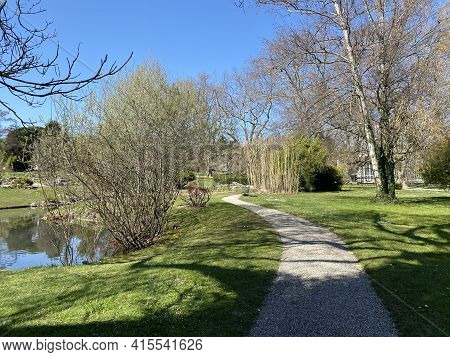 Conservatory And Botanical Garden Of The City Of Geneva (conservatoire Et Jardin Botaniques De La Vi