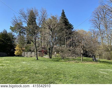 Conservatory And Botanical Garden Of The City Of Geneva (conservatoire Et Jardin Botaniques De La Vi