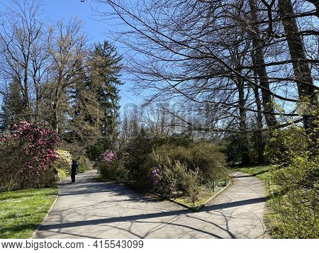 Conservatory And Botanical Garden Of The City Of Geneva (conservatoire Et Jardin Botaniques De La Vi