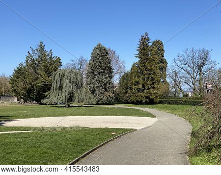 Conservatory And Botanical Garden Of The City Of Geneva (conservatoire Et Jardin Botaniques De La Vi