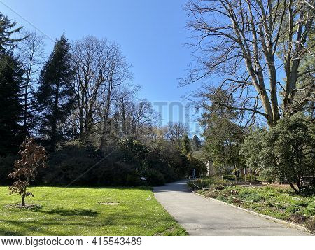 Conservatory And Botanical Garden Of The City Of Geneva (conservatoire Et Jardin Botaniques De La Vi