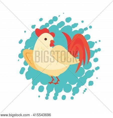 Isolated White Rooster With Red Head. Colorful Cock Standing Isolated On Background. Poultry Farming