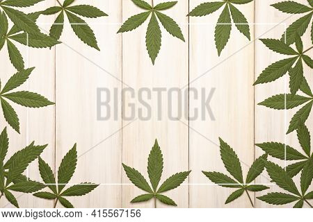 Green Fresh Cannabis Sativa Leafleaves(marijuana) Framing A Rustic White Wooden Background With Copy