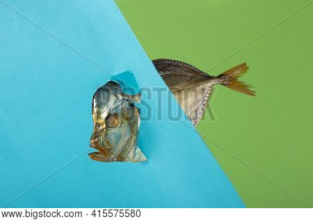The Head And Tail Of The Smoked Sea Fish Peeking Out Of Colored Paper