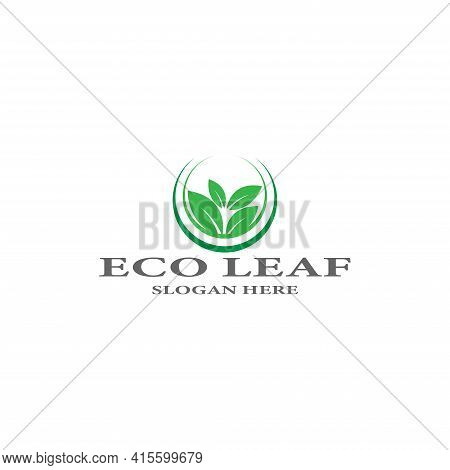 Tree Leaf Vector Logo Design Eco Friendly Concept