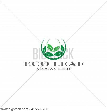 Tree Leaf Vector Logo Design Eco Friendly Concept