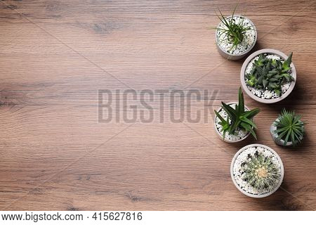 Different House Plants In Pots On Wooden Table, Flat Lay. Space For Text.