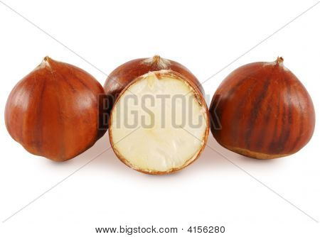 Chestnut (Maroni)
