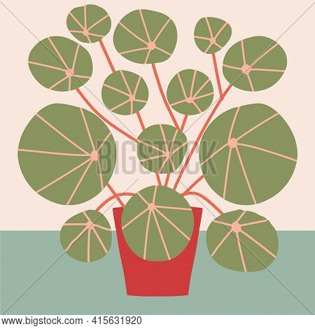 Pilea In Pot Flat Vector Illustration. Domestic Decorative Plant. Beautiful Thermophilic Plant In Fl