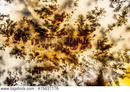 Beautiful Agate Texture. Kazakhstan's Moss Agate. Natural Pattern. High Quality Photo