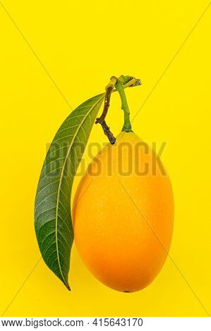 Yellow Collection. Side View Of Ripe Yellow Fruit With Leaf In Summer Season Of Thailand On Yellow B