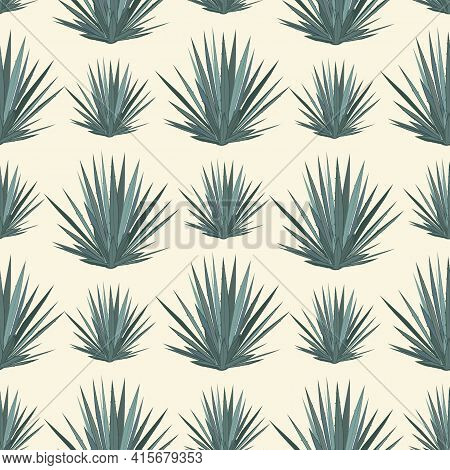 Vector Seamless Pattern With Blue Agave. Tequila Agave Succulent Plant Background, Wallpaper