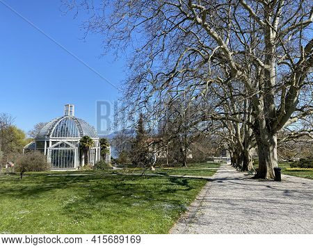 Temperate House (serre Tempérée), Conservatory And Botanical Garden Of The City Of Geneva (conservat