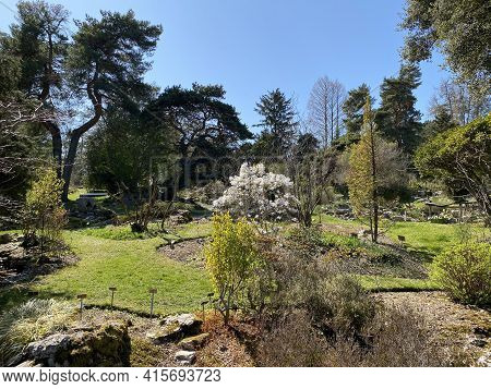 Rockery Or Rocailles, Conservatory And Botanical Garden Of The City Of Geneva (conservatoire Et Jard