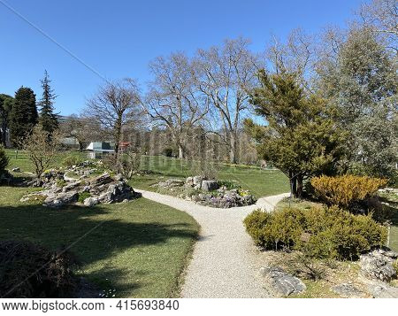 Rockery Or Rocailles, Conservatory And Botanical Garden Of The City Of Geneva (conservatoire Et Jard