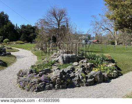 Rockery Or Rocailles, Conservatory And Botanical Garden Of The City Of Geneva (conservatoire Et Jard