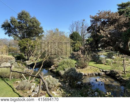 Rockery Or Rocailles, Conservatory And Botanical Garden Of The City Of Geneva (conservatoire Et Jard