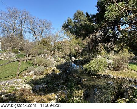 Rockery Or Rocailles, Conservatory And Botanical Garden Of The City Of Geneva (conservatoire Et Jard