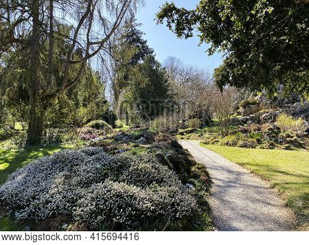Rockery Or Rocailles, Conservatory And Botanical Garden Of The City Of Geneva (conservatoire Et Jard