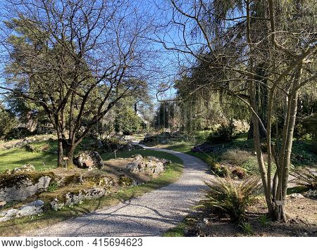 Rockery Or Rocailles, Conservatory And Botanical Garden Of The City Of Geneva (conservatoire Et Jard