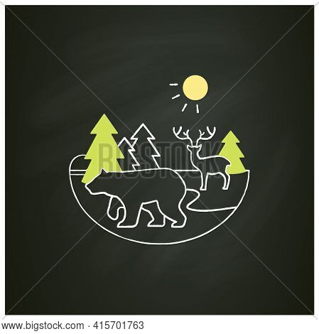 Taiga Forest Chalk Icon. Boreal Forest Or The Coniferous Forest. Living Place For Dangerous And Wild