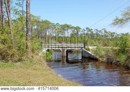 Bridge Over Water And Edge Of Pine Forest In Bon Secour National Wildlife Refuge In Gulf Shores, Ala
