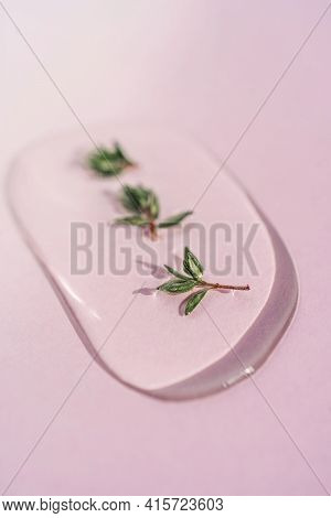 A Drop Of Cosmetic Gel With Thyme On A Pink Background.