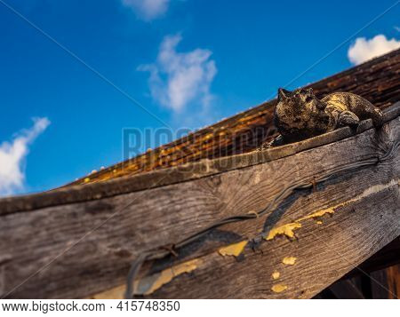 Sculpture Of Mom At The Roof Of Temple Building In Northern Provinces Of Thailand
