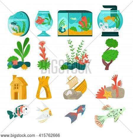 Beautiful Aquarium Set Fish, Vector Illustration. Aquatic Collection Designer Fauna In Glass Tank. M