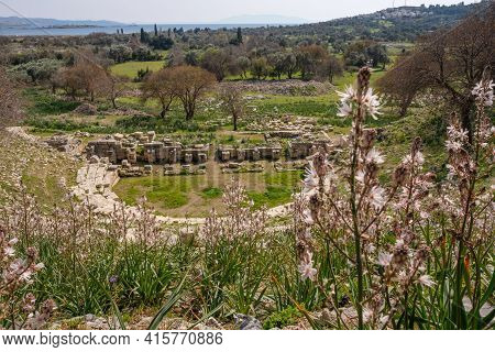 Seferihisar, Izmir, Turkey - 03.08.2021: Wildflowers Behind Ancient Historical Teos Theater With Ste